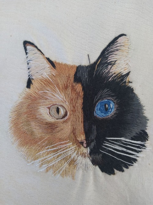 Hand-embroidered Two-Faced Chimera Cat (Reference pic @gataquimera on ig)Etsy: @beebordandoInstagram