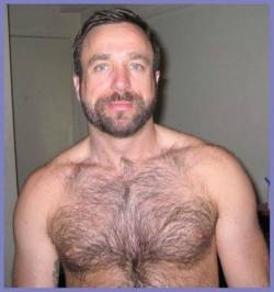 hairy-chests:  .Hairy-ChestS @hairychestsx