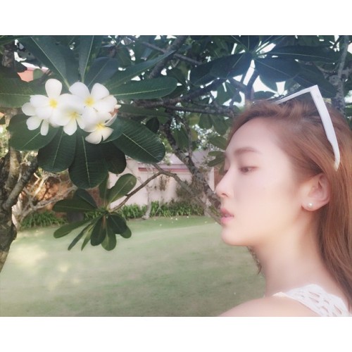 Sy__Jessica : 