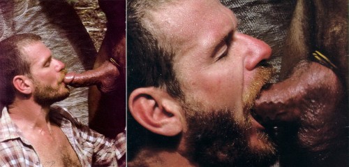 Saw these stills years ago in a porno mag, and loved the raw masculinity of this early bear scene. Found the scene again years later in A Night Alone with Al Parker.