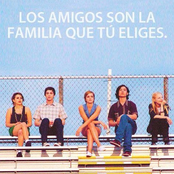 if you have not seen this movie, watch it! You won&rsquo;t be disappointed! #perksofbeingawallflower