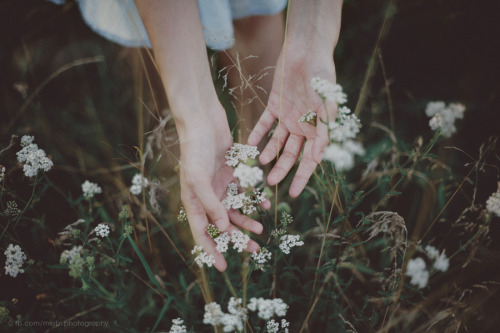 sayhaveyouheard:  D524 by miobi