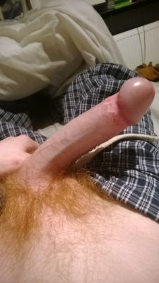 gingerobsession:  I need to suck this ginger
