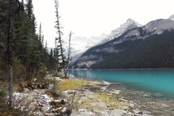 matchbox-mouse:Walking around Lake Louise,