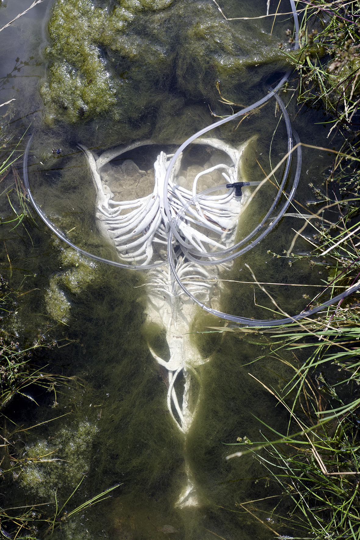 the sorrow of things