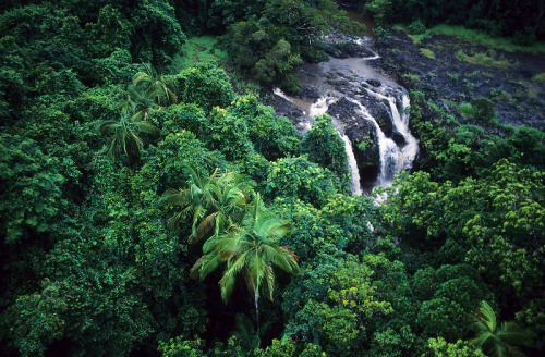 oceaniatropics: Cape York Peninsula, Queensland, Australia, by Kerry Trapnell 