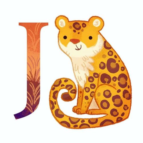 J is for jaguar! Find the full alphabets project at www.michiscribbles.etsy.com . . . #alphabet #jag