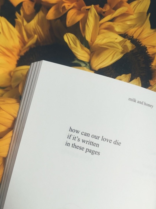 Sunflower Poem Tumblr