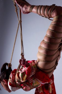 thevertigonetwork:  Shibari SinModel Juri