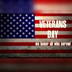 Happy Veterans Day! 🏵 🇺🇸 Remember those who have sacrificed all!!