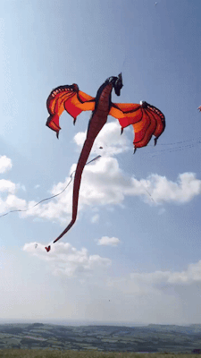 sixpenceee:  This dragon kite looks way too