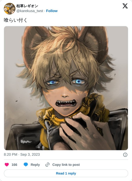 Tumblr media