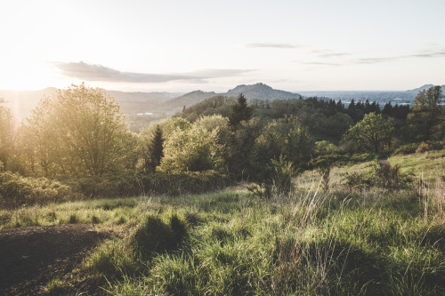 thoughtlessfroth: This weekend was beautiful. Eugene // April 2016