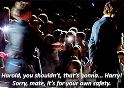 quitespecial:  louis told us to fuck off hahaha 