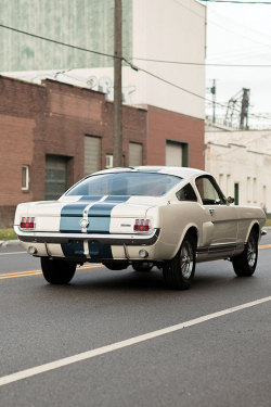 fullthrottleauto:  1966 Shelby GT350 with