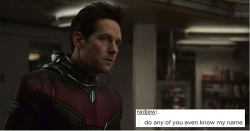 incorrectstevebucky