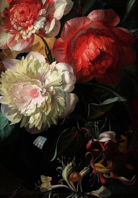 papillon-de-mai:Rachel Ruysch — Flowers in a Glass Vase with a Tulip. detail. 1716 