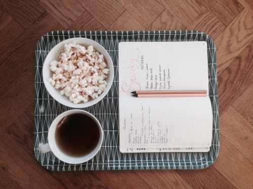 starshinestudies:  Wednesday 17/2 My first post yay!  I’m trying to get as much studying 