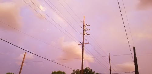 There Was A Rainbow Last Night After A Long Rain.