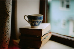 ingelnook:   	281. tea and novels. by Dulcie