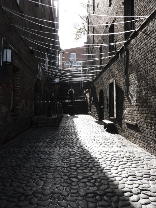 rememberyourvoyage:  Savannah, GA