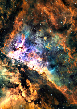 stellar-indulgence:  Eta Carinae Nebula Credit: Kfir Simon