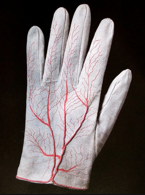 desimonewayland:  Meret Oppenheim Detail of pair of gloves, 1985 via: WikiArt  