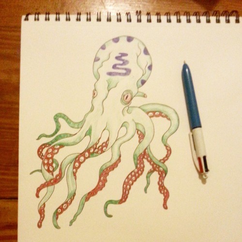Squid? Octopus? Study. #octopus #squid #whatever