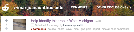 gaymilesedgeworth:  gaymilesedgeworth:  good things: the weed subreddit is called /r/trees  and so the subreddit for people to talk about trees is named  /r/marijuanaenthusiasts   