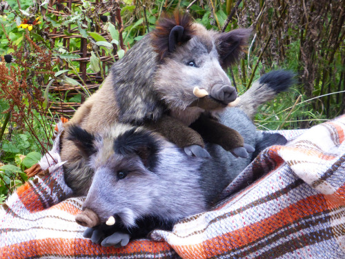 bookwyrmbran: palaeoplushies:Boars!!!I’ve been making some cuddly friends. These guys are big, soft,