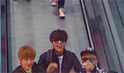 chwannie:  b1a4 at the airport. 