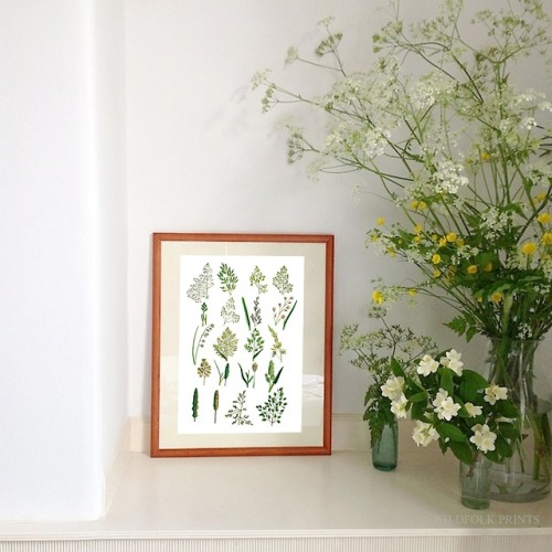 wildfolk prints