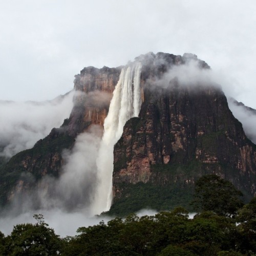 evanoesnadaespecial:  instagram:  Venturing into Venezuela’s Angel Falls To view more photos and videos from Angel Falls explore the Angel Falls location page and browse the #angelfalls and #saltoangel hashtags. Venezuela’s El Salto Ángel, or Angel