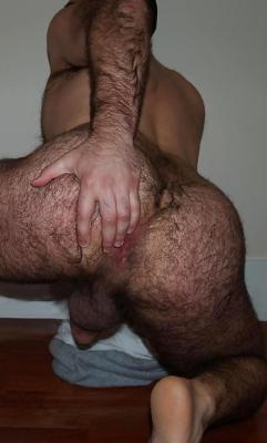 evda20:  pussyboysrus:  More at PussyBoysRusIf you want to be featured on this blog then Submit  Hairy 🤤🤤🤤🤤 