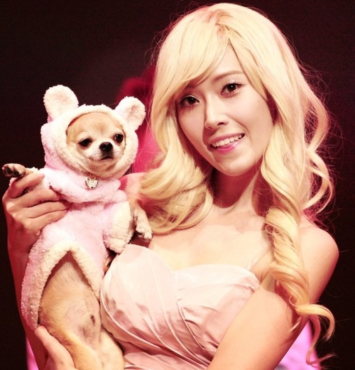 celebsthatcopyjessica:Mike from JYP screamo group Have8 copy Jessica’s love for dogs. However,