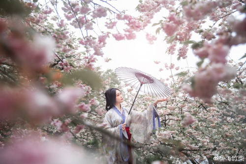 chinese hanfu in tang dynasty style by 竹里馆汉服