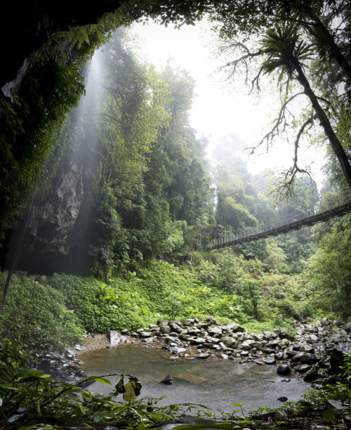 theencompassingworld: Dorrigo National Park, Australia | by Timothy M. RobertsMore of our amazing wo