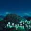 lupinreadsbooks