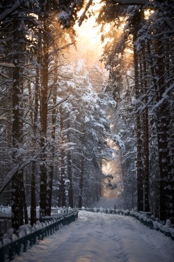 wonderous-world:  Snow Road by Terroplis