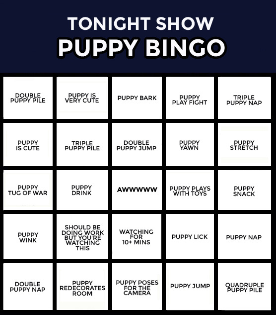 fallontonight:  Our #FallonPuppies livestream is live on YouTube!And it’s time