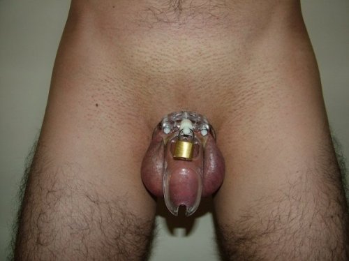 bicuckchast: BiCuckChast