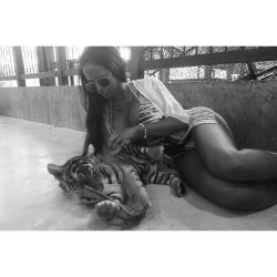 Beautiful creation. Love tigers ❤  #babytiger by denisefagerberg