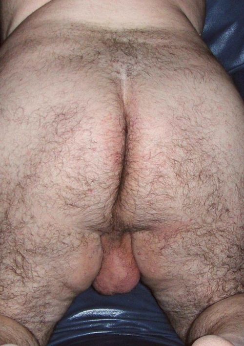 Ass Ass Chubby Asses