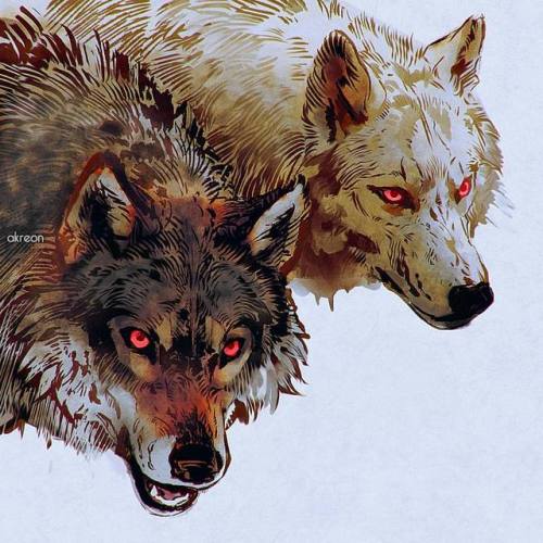 akreon:#wolves #wolf #digitalart #rebelle2 porn pictures