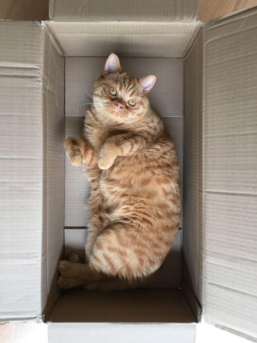 edgarandminka:I really like to play with straws…