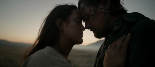 The Revenant (2015) - Alejandro González Iñárritu. It’s okay son… 