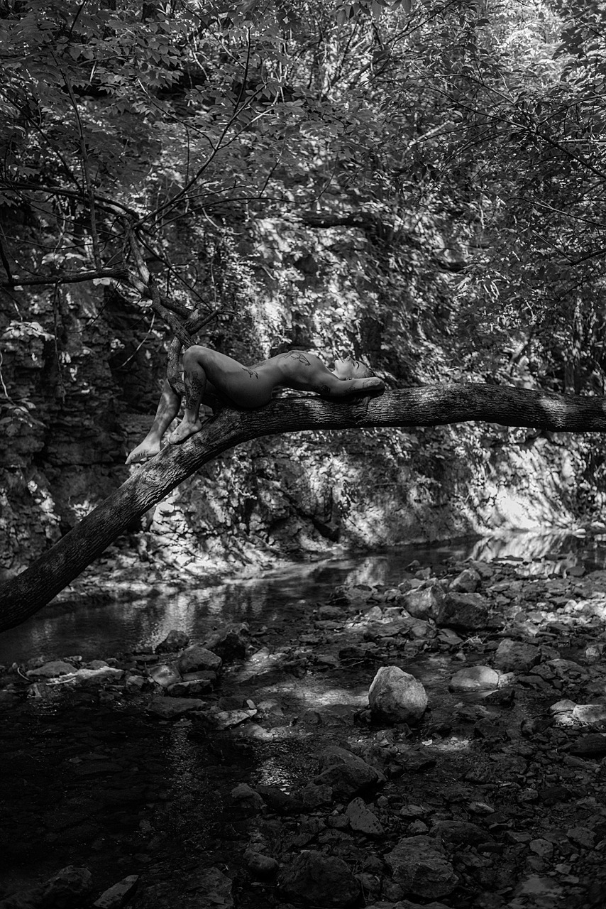 jae-ellingen-photography:    Willow  