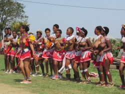   Umkhosi Woswela (Zulu Calabash ceremony),