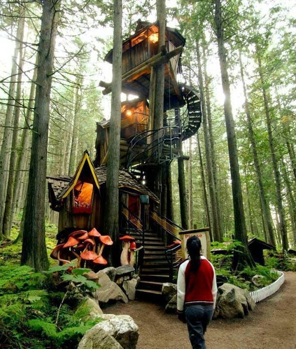 flintdawg:  zen4sabiwabi:  Tree house in Hawaii  A little too contrived or comercial