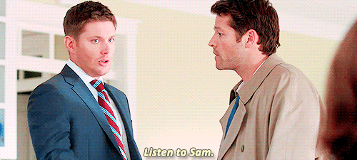 constiellation: Favourite Dean/Cas moments ~ 8x08 “Hunteri Heroici”“What? I